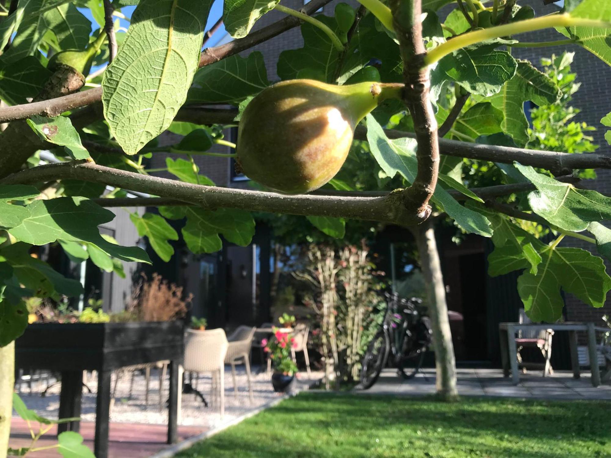 B&B De Pastorie Bij Dokkum Reitsum Luaran gambar