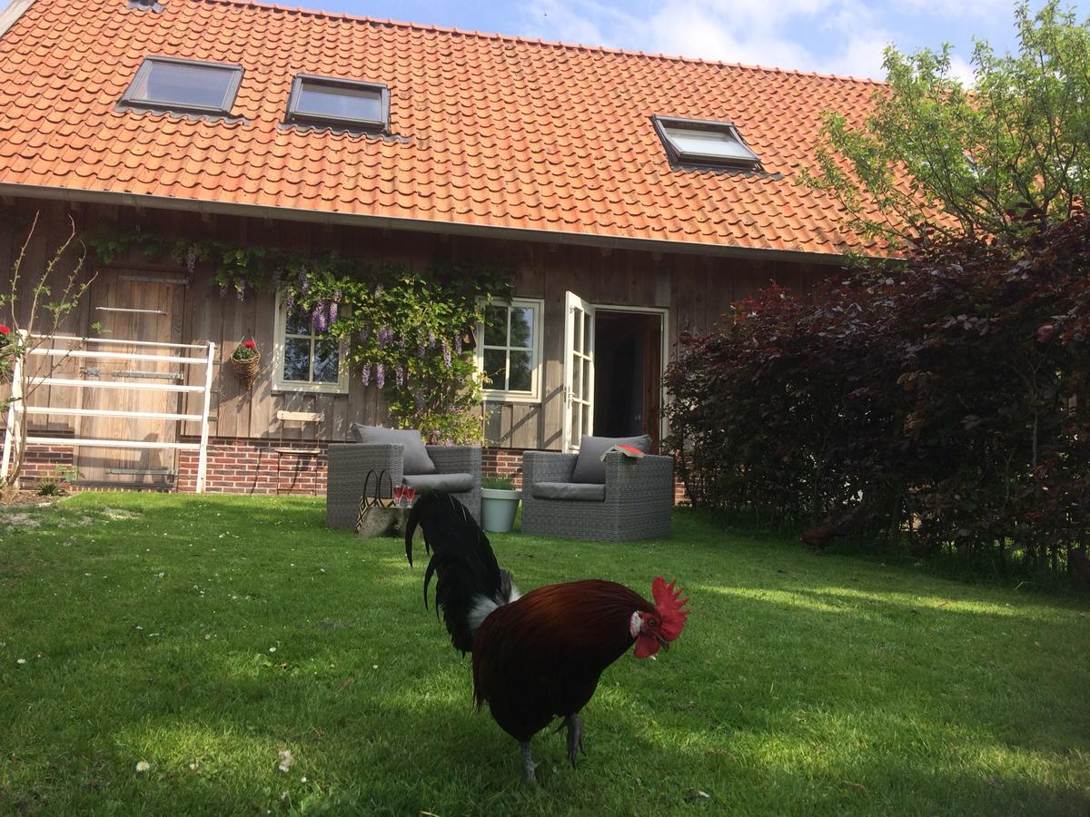 B&B De Pastorie Bij Dokkum Reitsum Luaran gambar