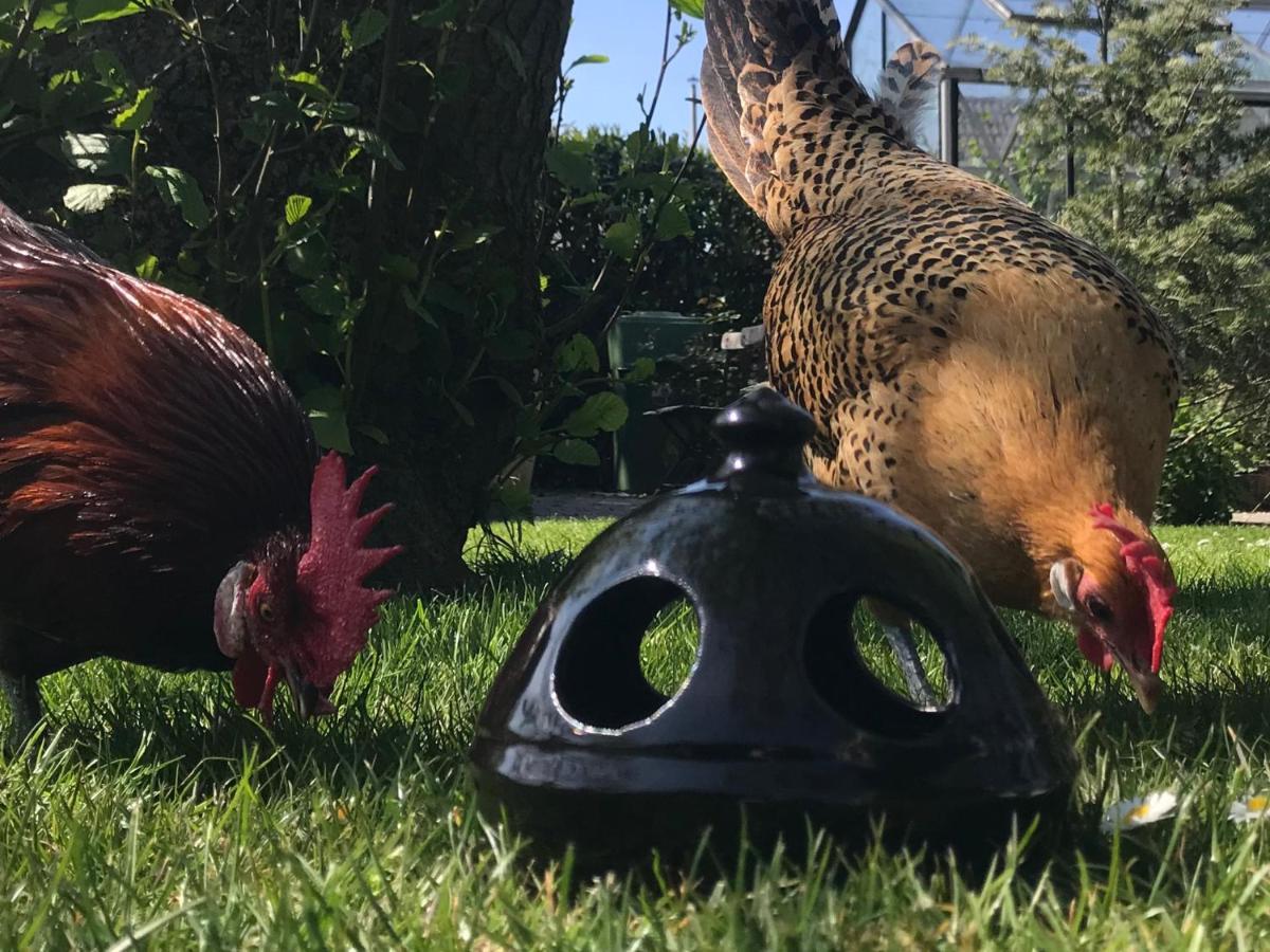 B&B De Pastorie Bij Dokkum Reitsum Luaran gambar